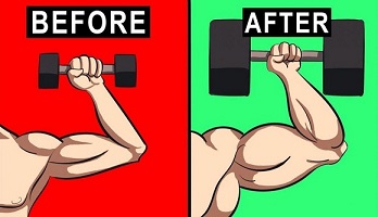 دوره های آموزشی muscles 1024x576 1160x665 1 - دوره های آموزشی