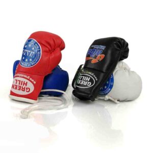 جاسوئیچی طرح دستکش بوکس