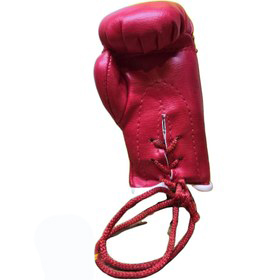 جاسوئیچی های طرح بوکس