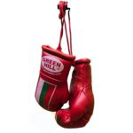 جاسوئیچی دستکش بوکس